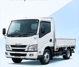Light Duty Truck